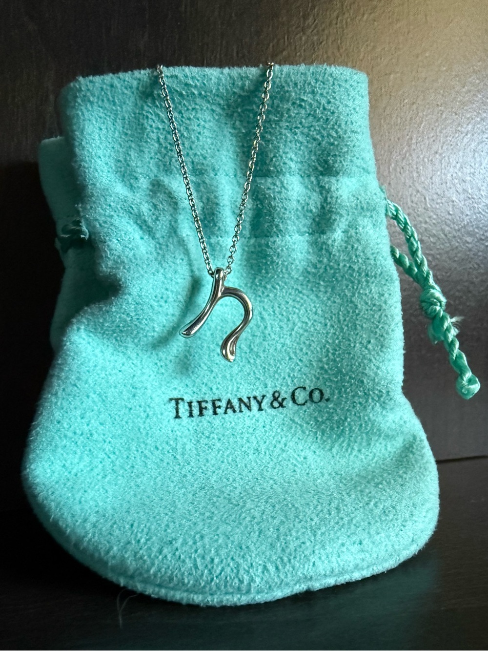Tiffany and Co. 925 Sterling Silver Elsa Peretti Initial Necklace, Letter “n”